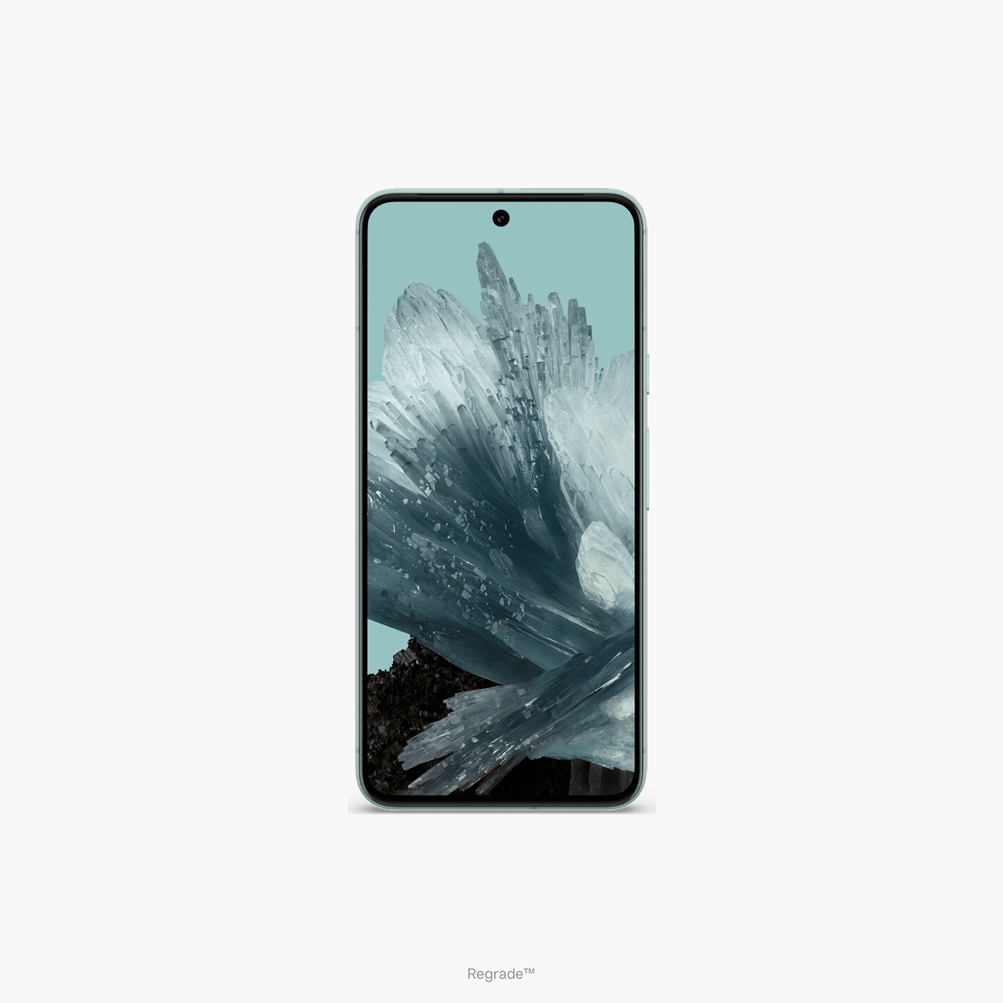 Mint