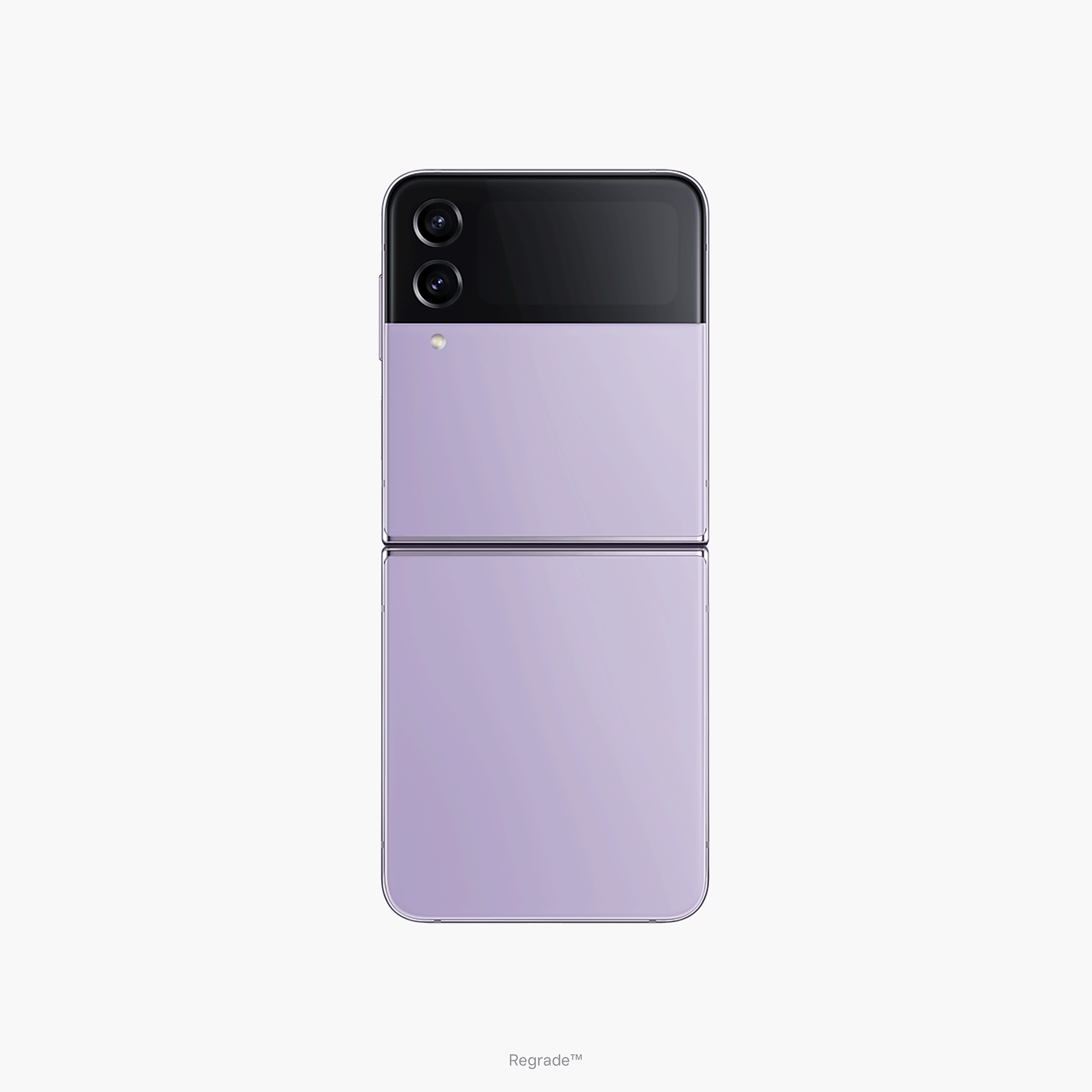Bora Purple
