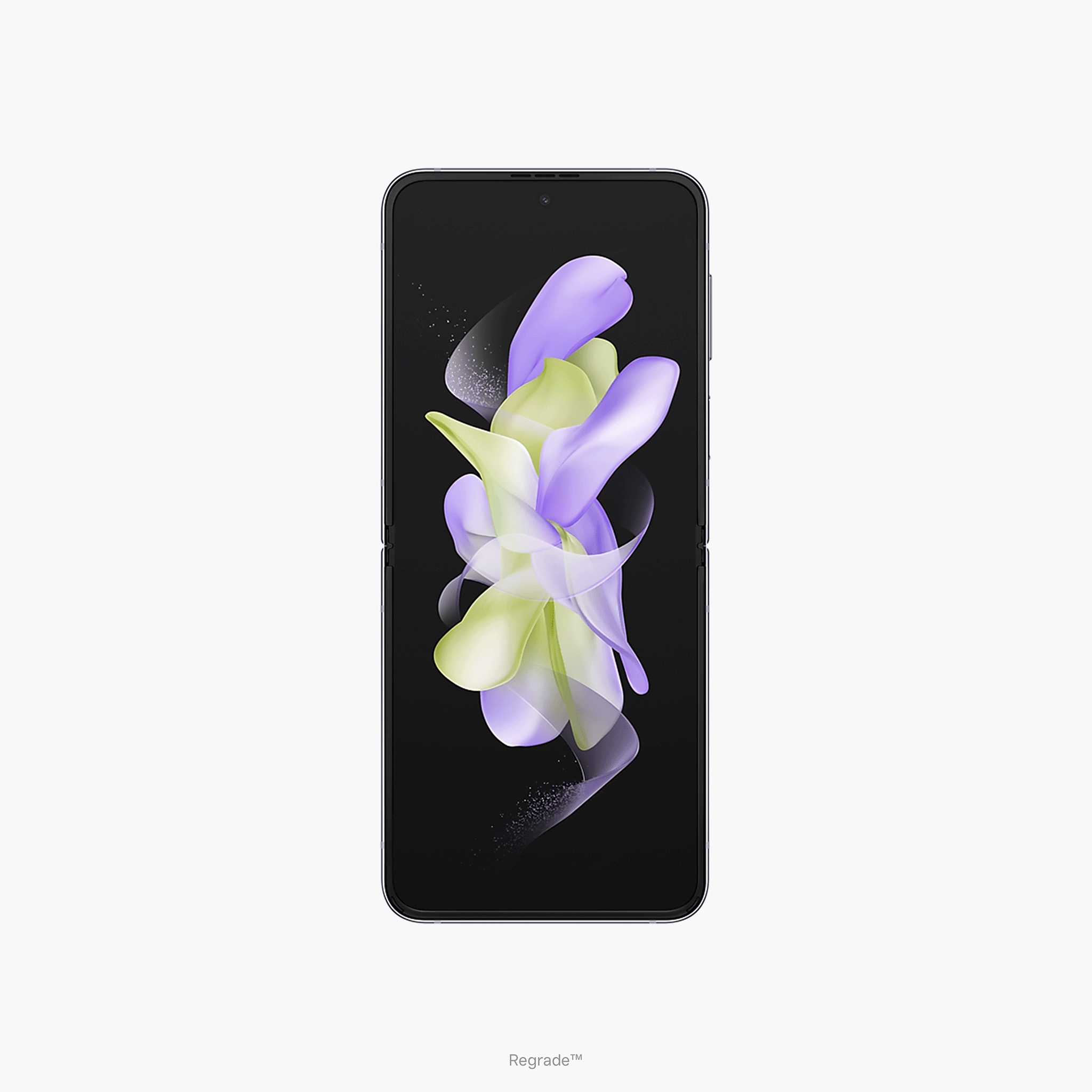 Bora Purple