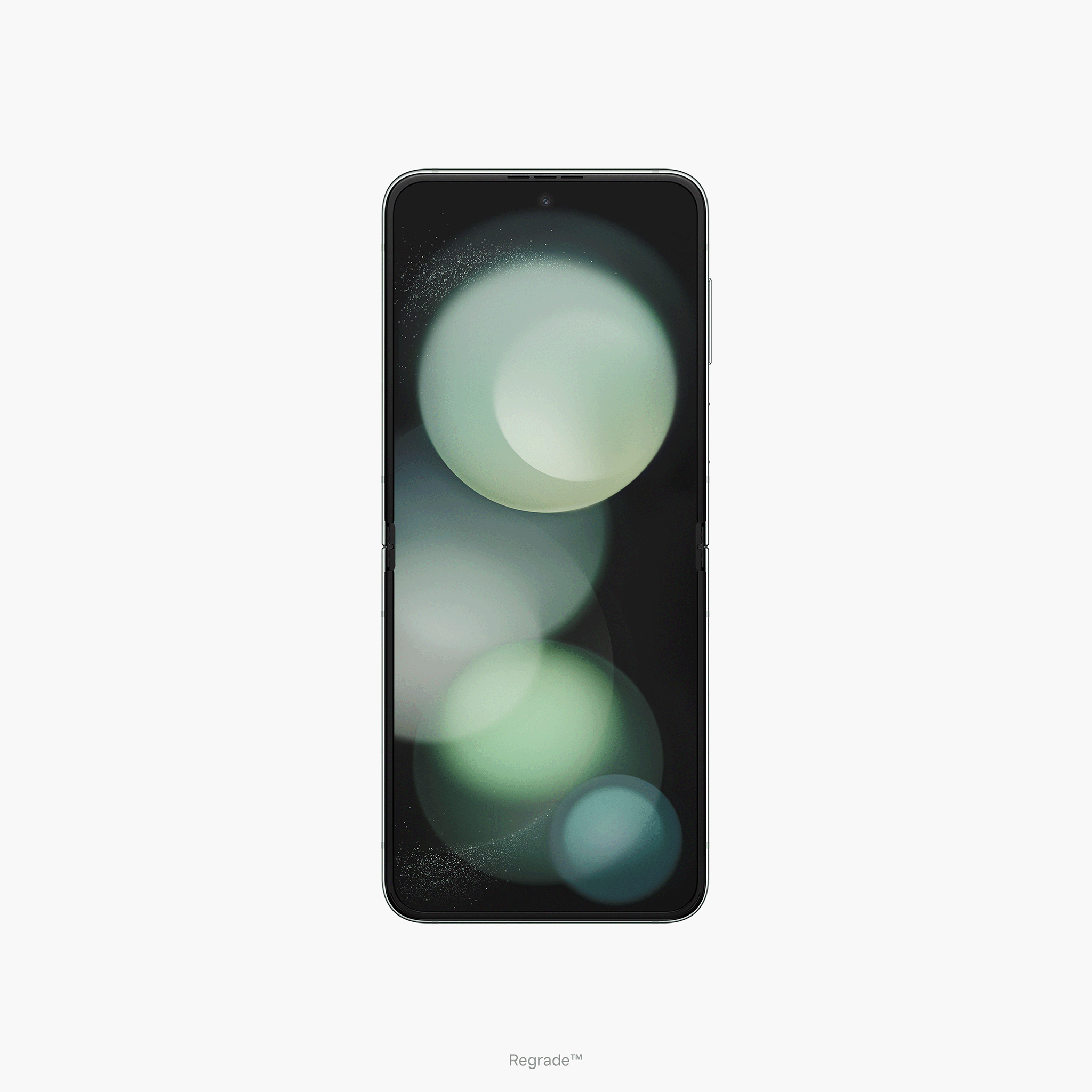 Mint